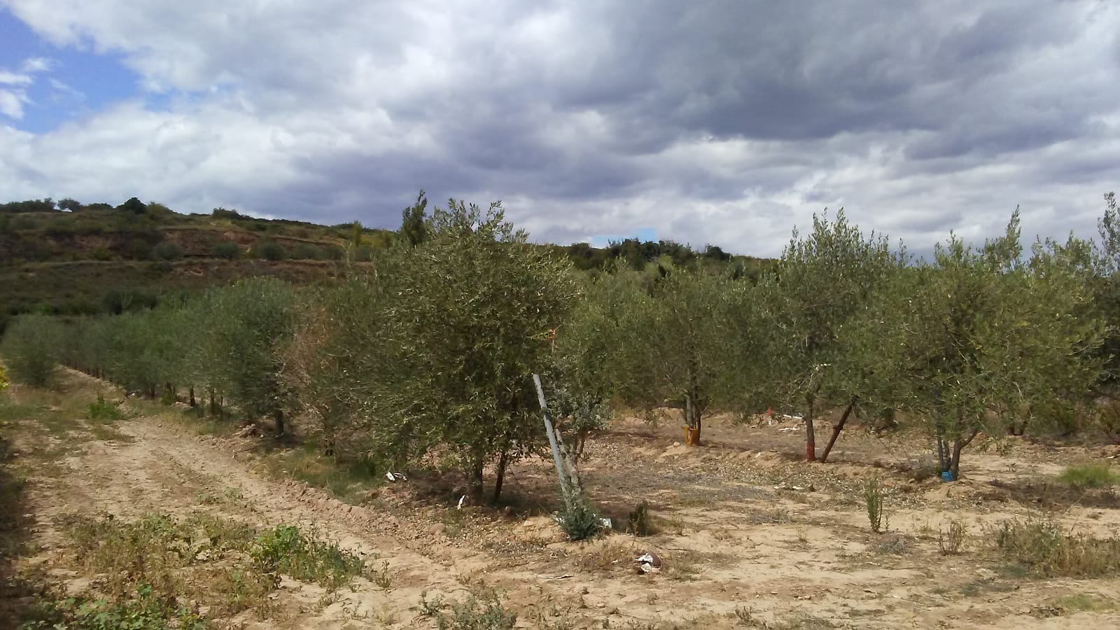 Imagen 1 de Finca rustica en Entrena 