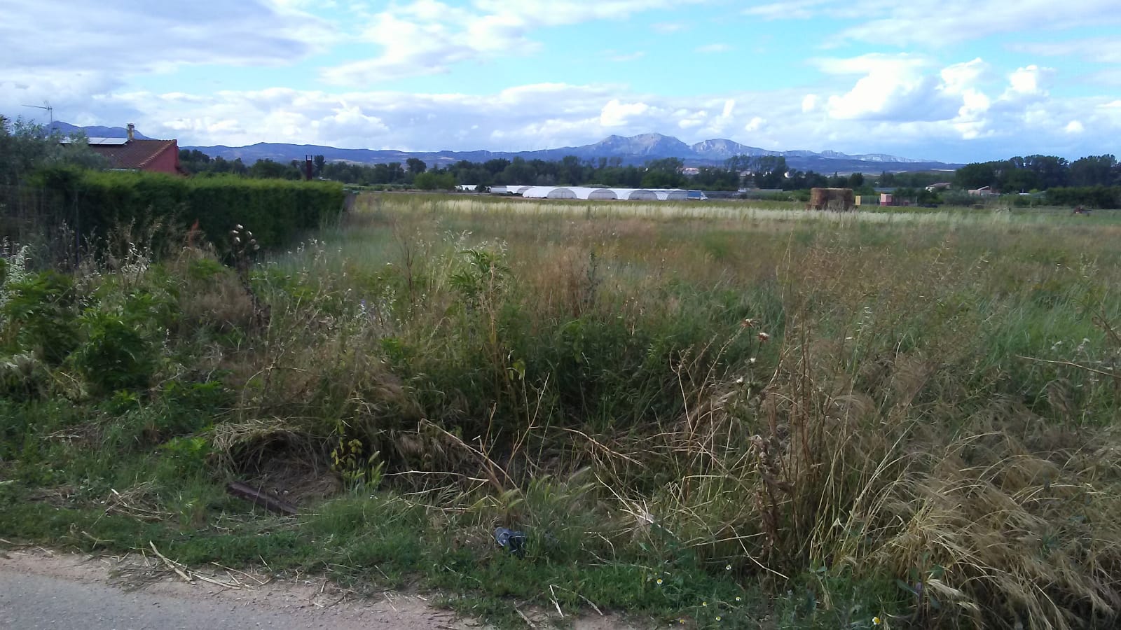 Imagen 1 de FINCA RUSTICA DE 5000 METROS EN VAREA