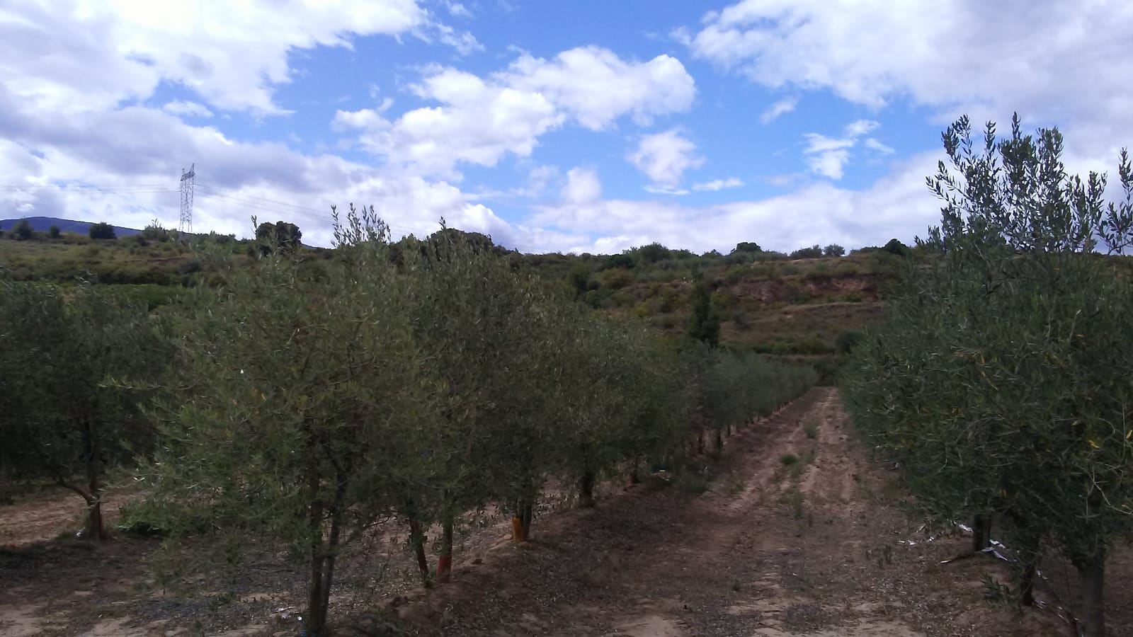 Imagen 2 de Finca rustica en Entrena 