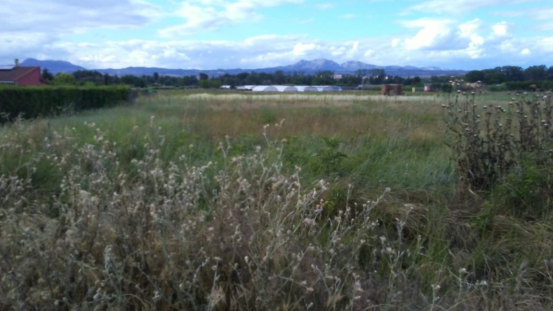 Imagen 0 de FINCA RUSTICA DE 5000 METROS EN VAREA