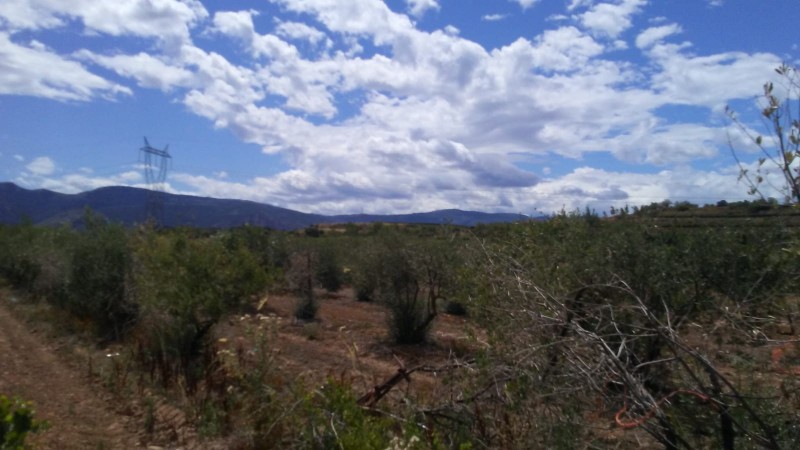 Imagen 0 de Finca rustica en Entrena