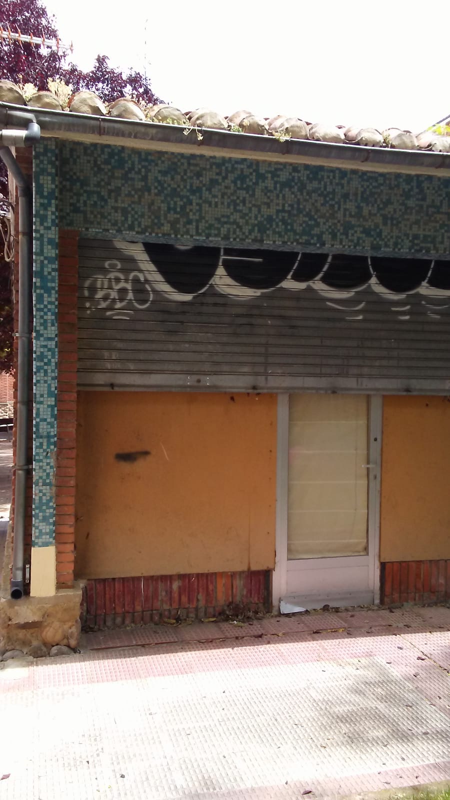 Imagen 1 de LOCAL en alquiler en zona universidad