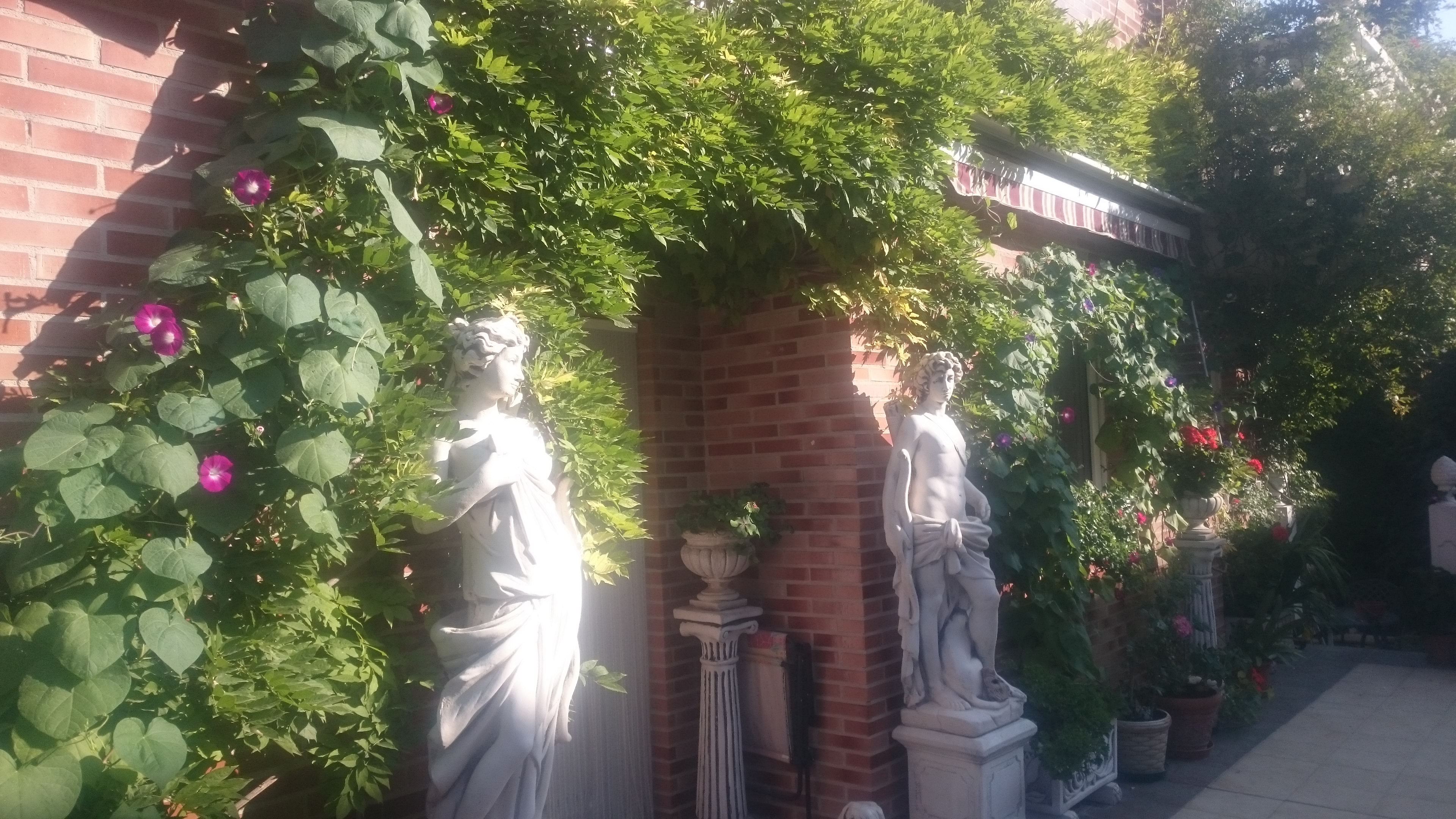 Imagen 2 de Casa pareada en Navarrete