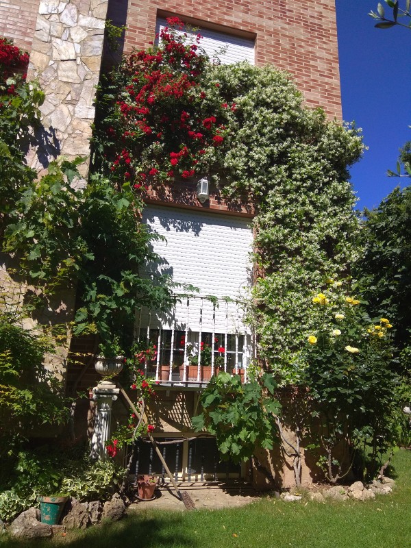 Imagen 0 de Casa pareada en Navarrete