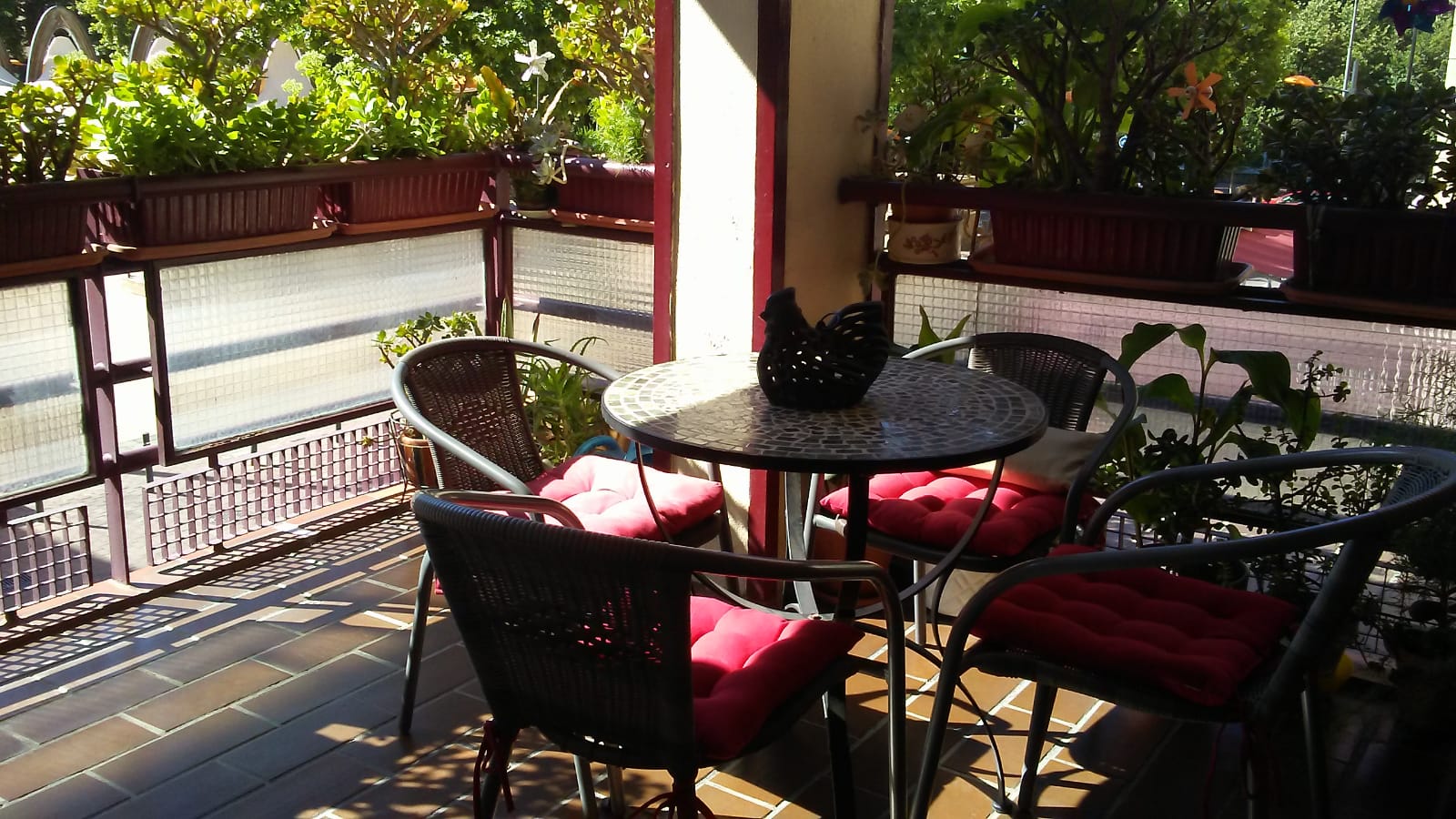 Imagen 3 de PISAZO EN ZONA ESTACION