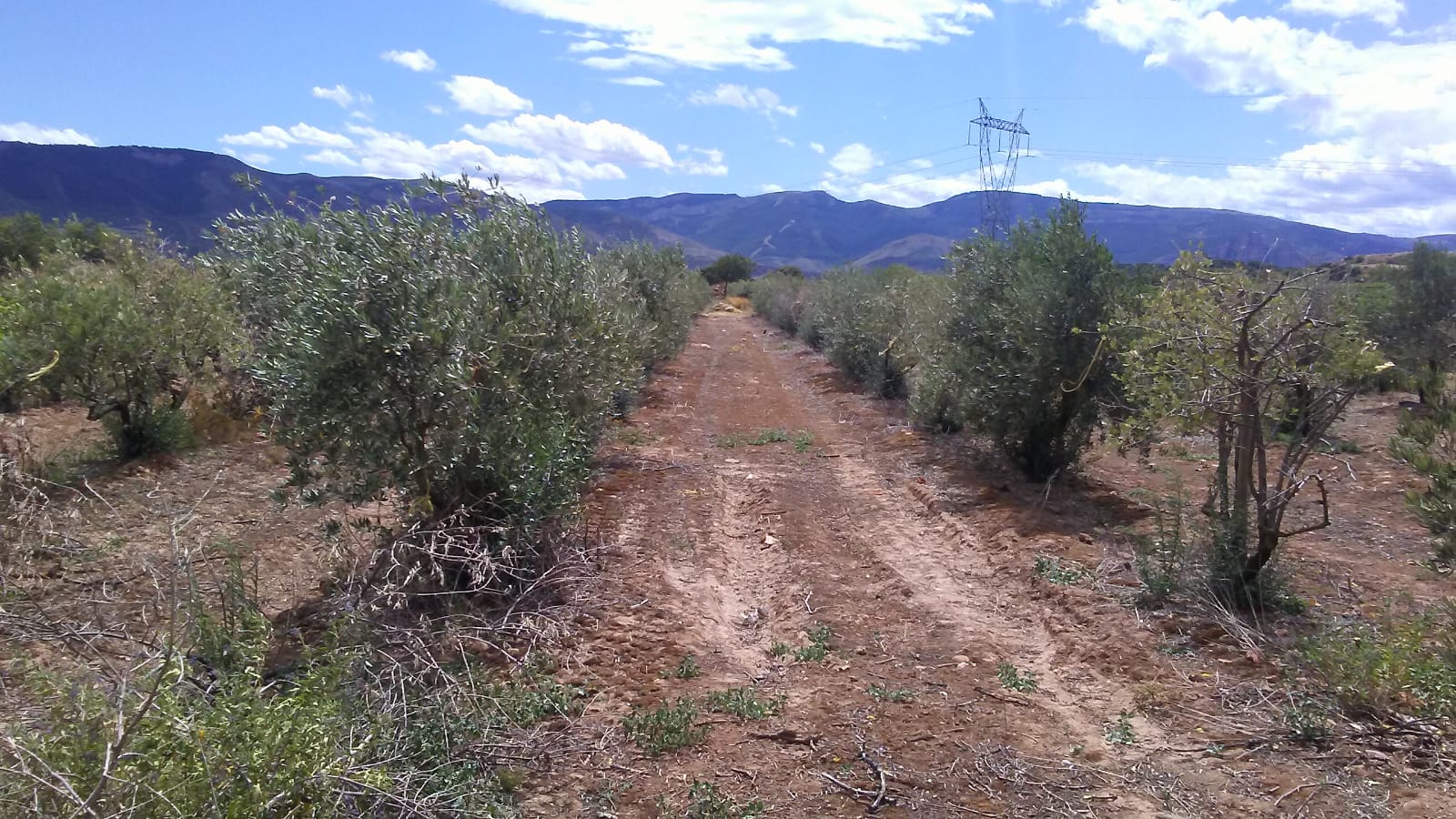 Imagen 1 de Finca rustica en Entrena