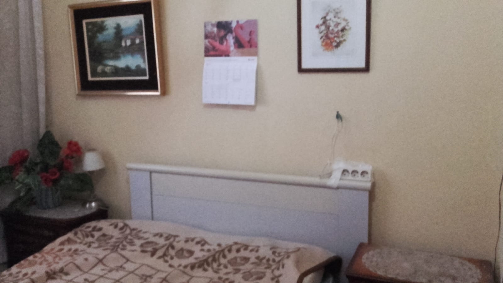 Imagen 2 de Apartamento centrico,zona peatonal