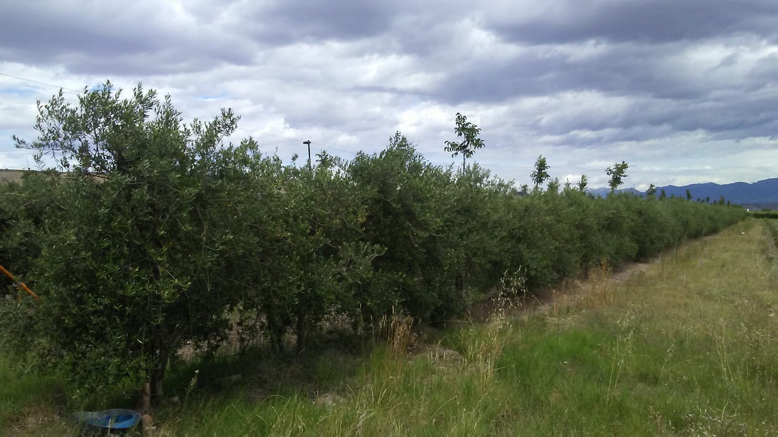 Imagen 3 de Finca rustica en Entrena