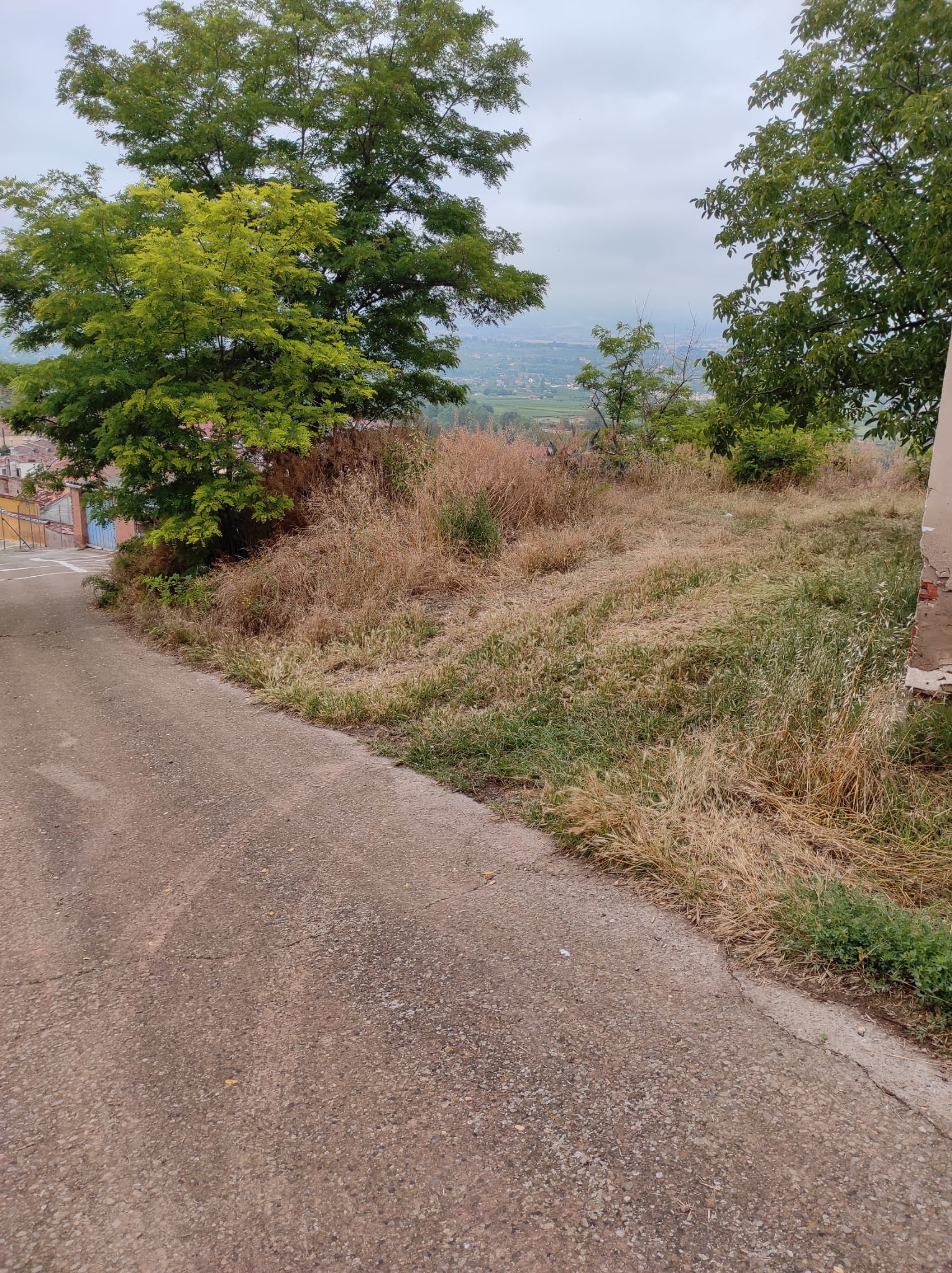Imagen 0 de CASA + TERRENO RUSTICO EN ALBELDA DE IREGUA