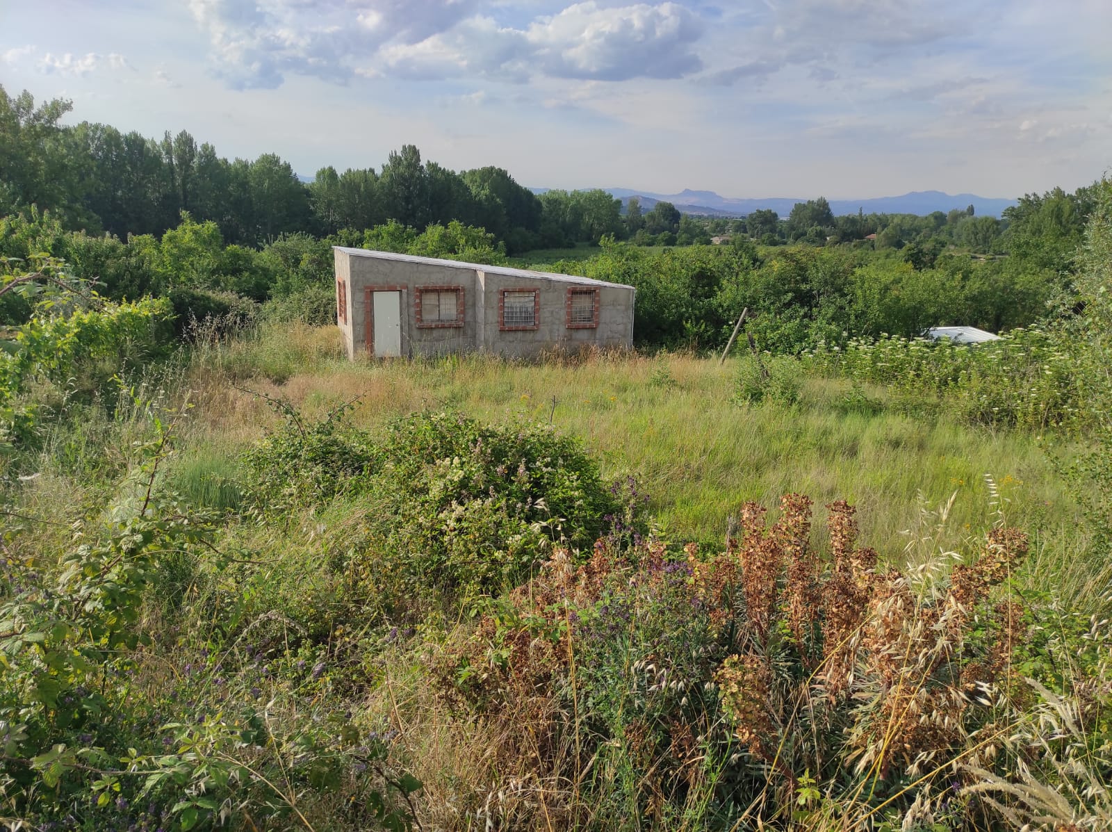 Imagen 2 de TERRENO RUSTICO CON CASITA EN NALDA