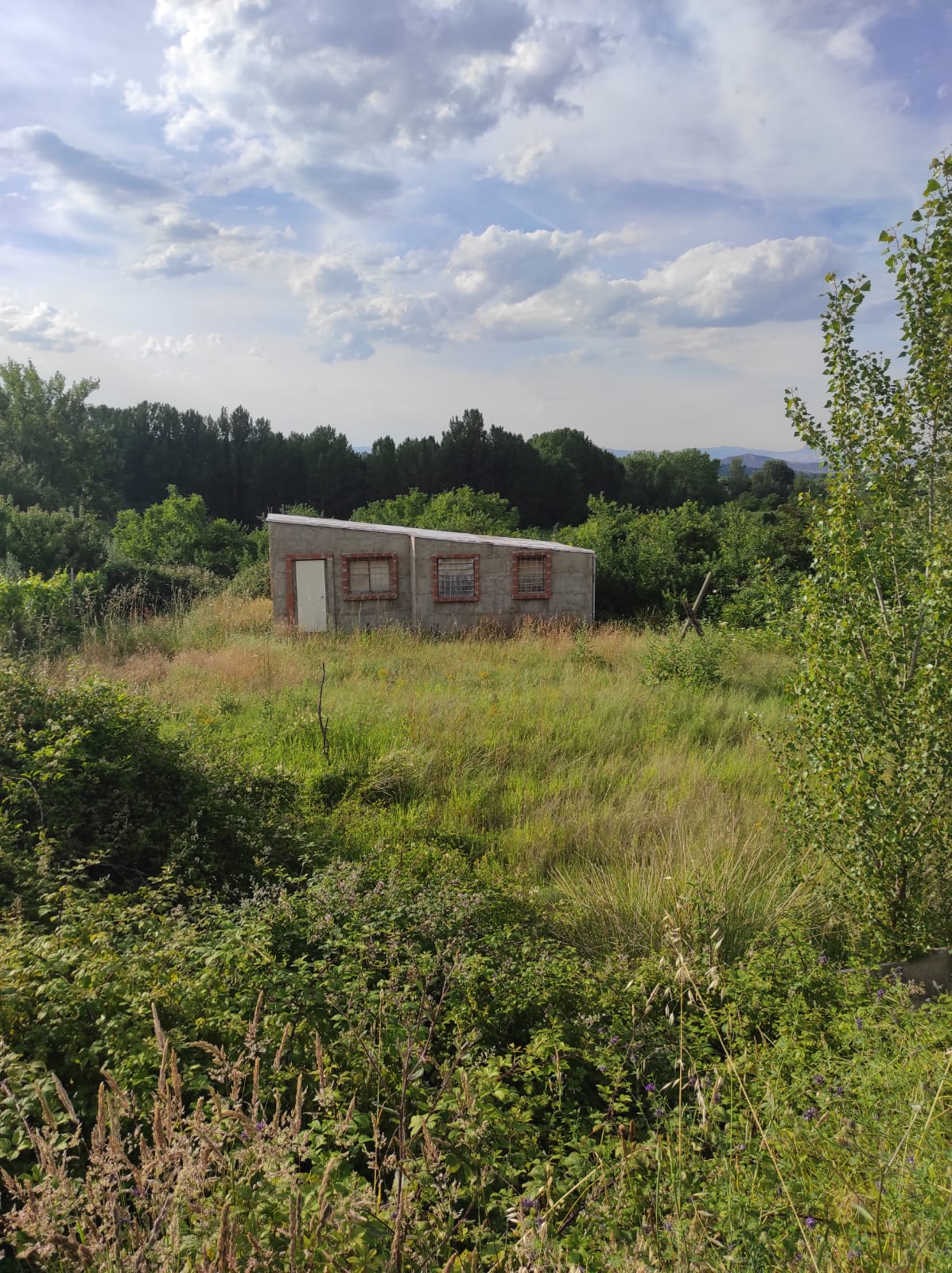 Imagen 1 de TERRENO RUSTICO CON CASITA EN NALDA