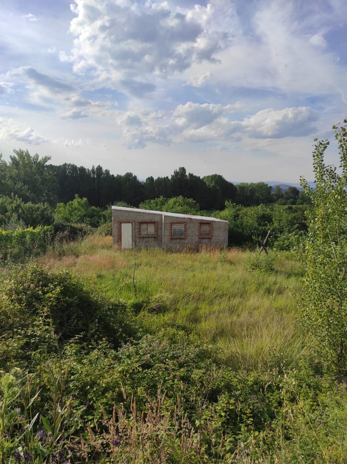 Imagen 0 de TERRENO RUSTICO CON CASITA EN NALDA