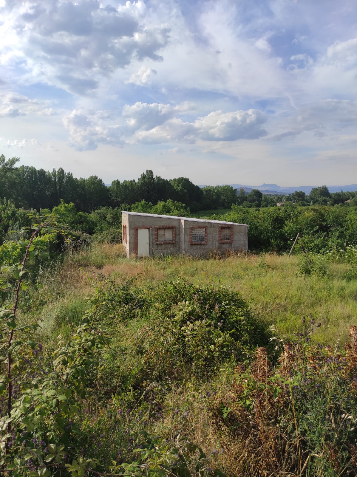 Imagen 3 de TERRENO RUSTICO CON CASITA EN NALDA