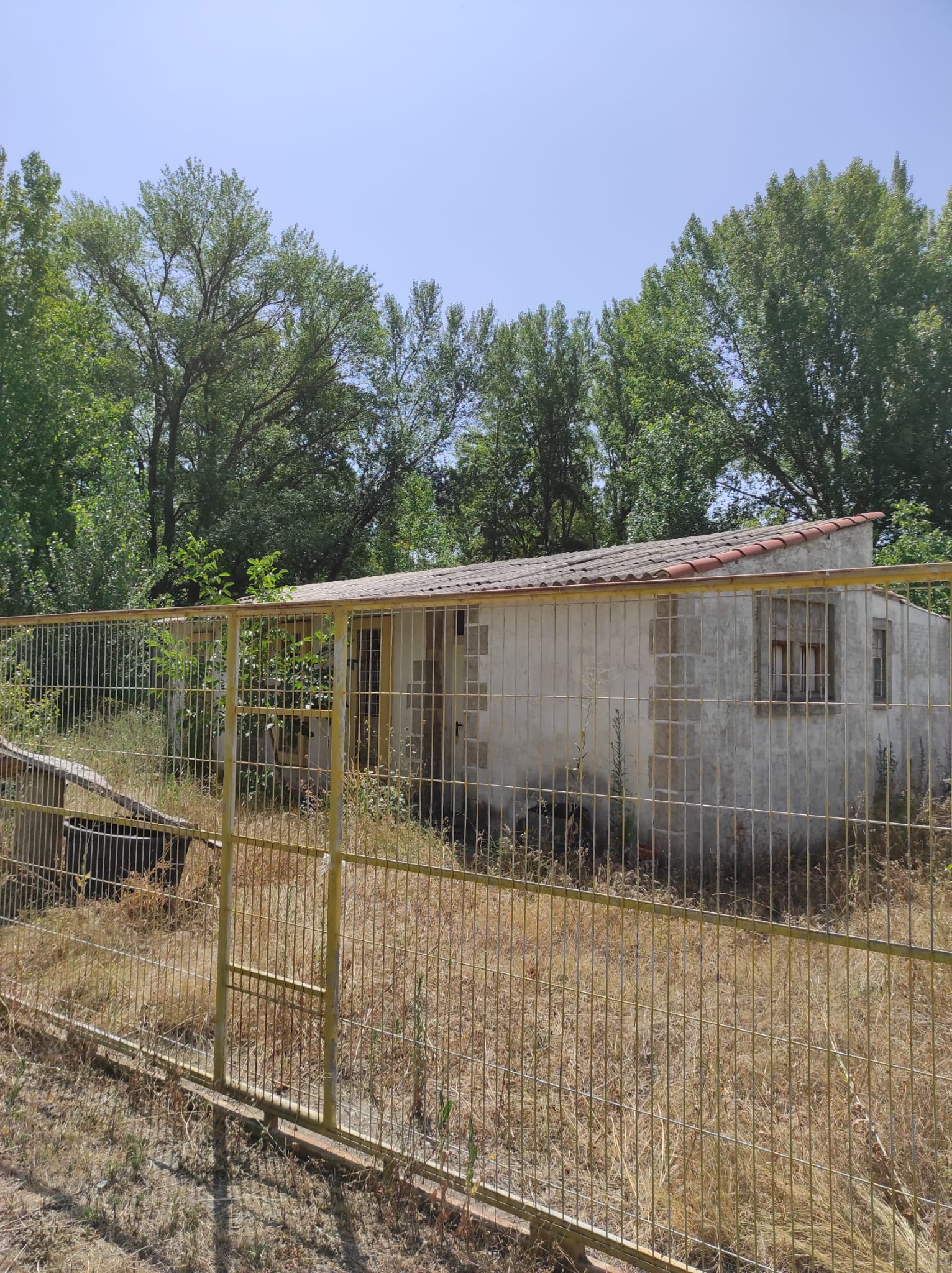 Imagen 0 de FINCA RUSTICA MAS CASITA DE 55 M 