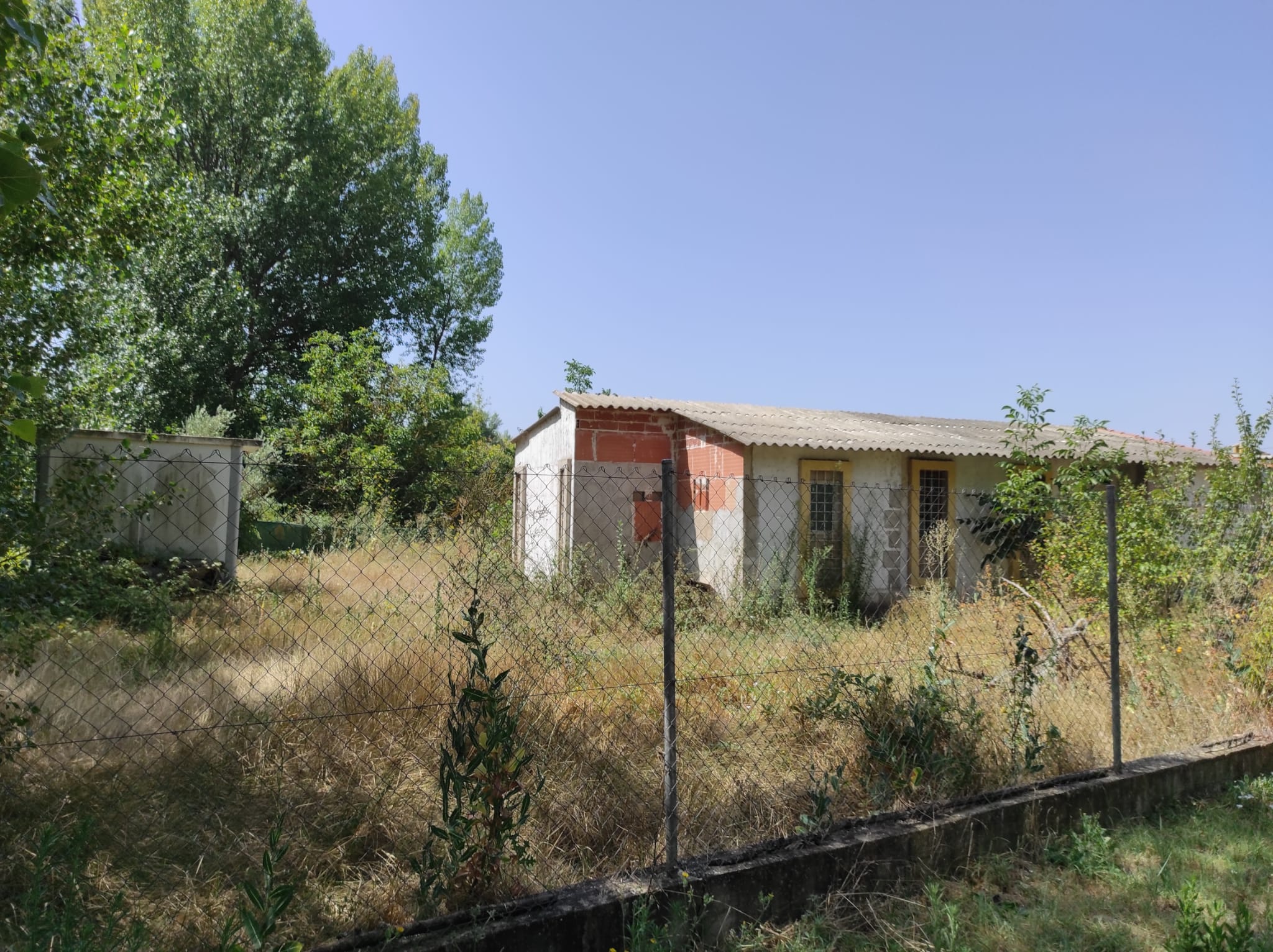 Imagen 3 de FINCA RUSTICA MAS CASITA DE 55 M 