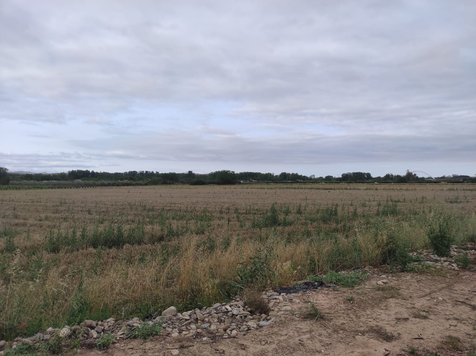 Imagen 1 de FINCA RUSTICA DE 15000 METROS EN VAREA