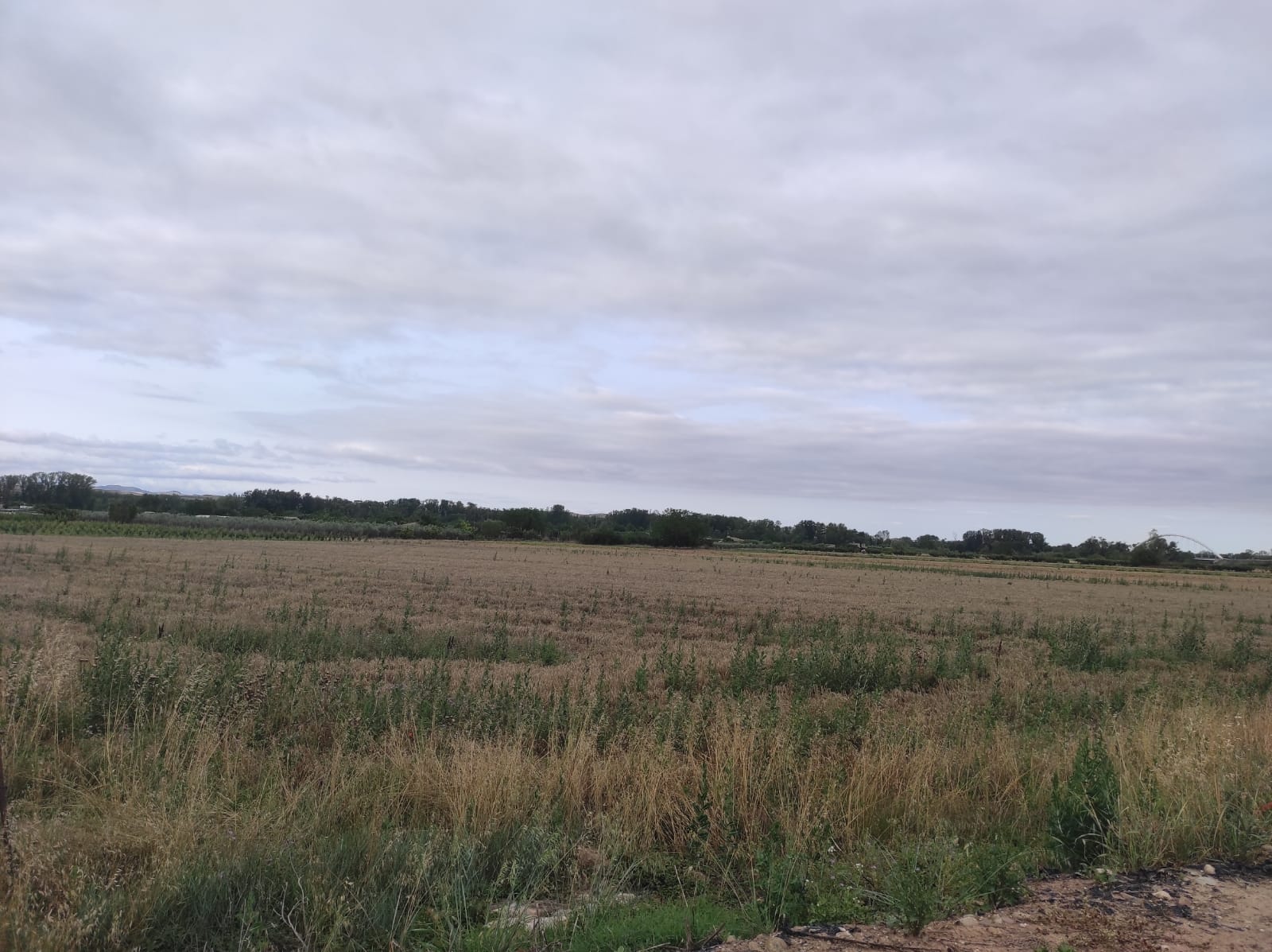 Imagen 2 de FINCA RUSTICA DE 15000 METROS EN VAREA