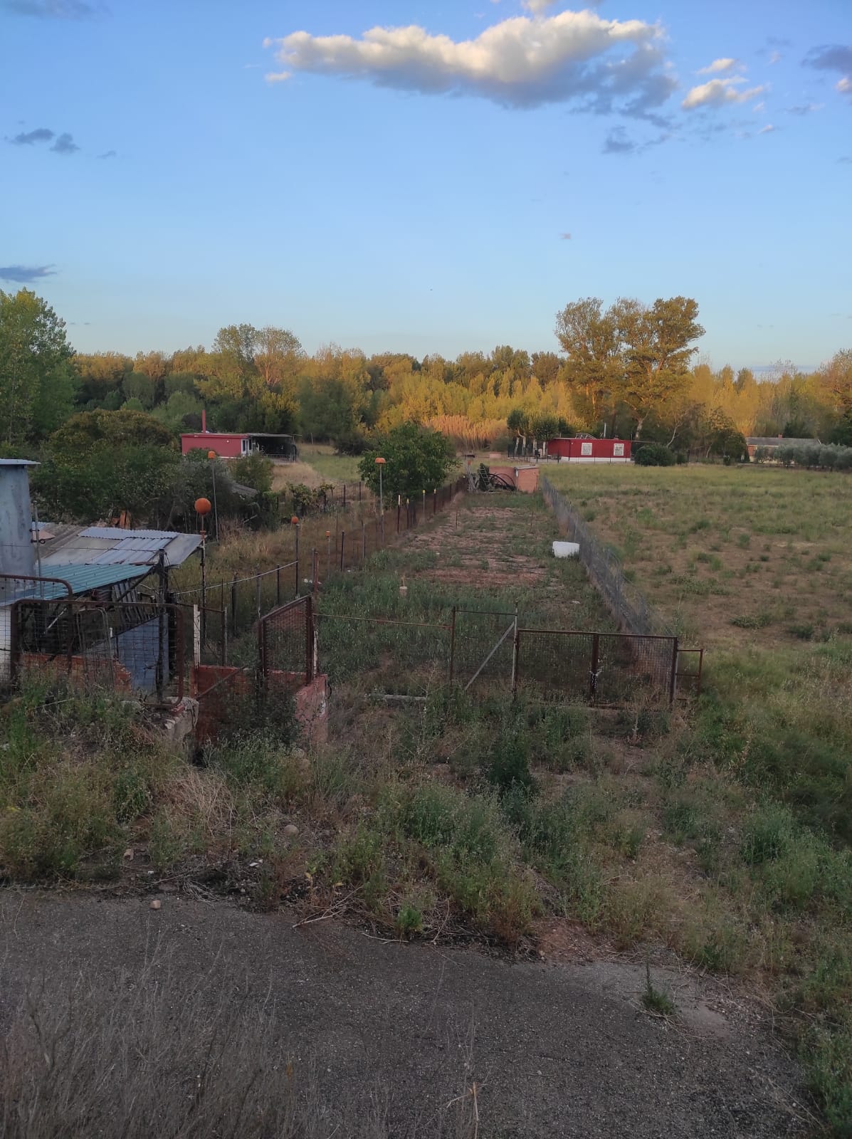 Imagen 3 de FINCA RUSTICA CON CASITA EN LOGROÑO