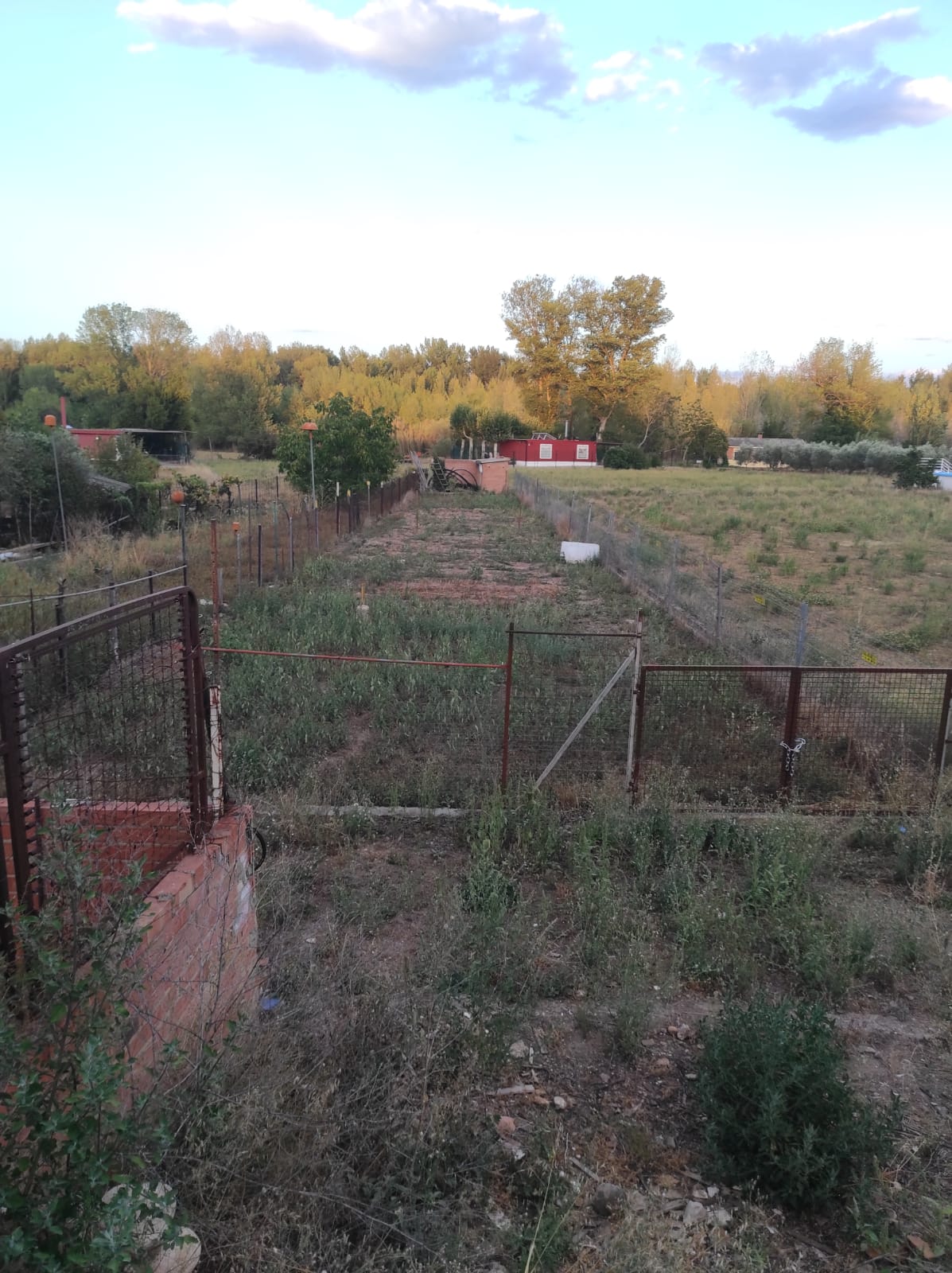 Imagen 1 de FINCA RUSTICA CON CASITA EN LOGROÑO