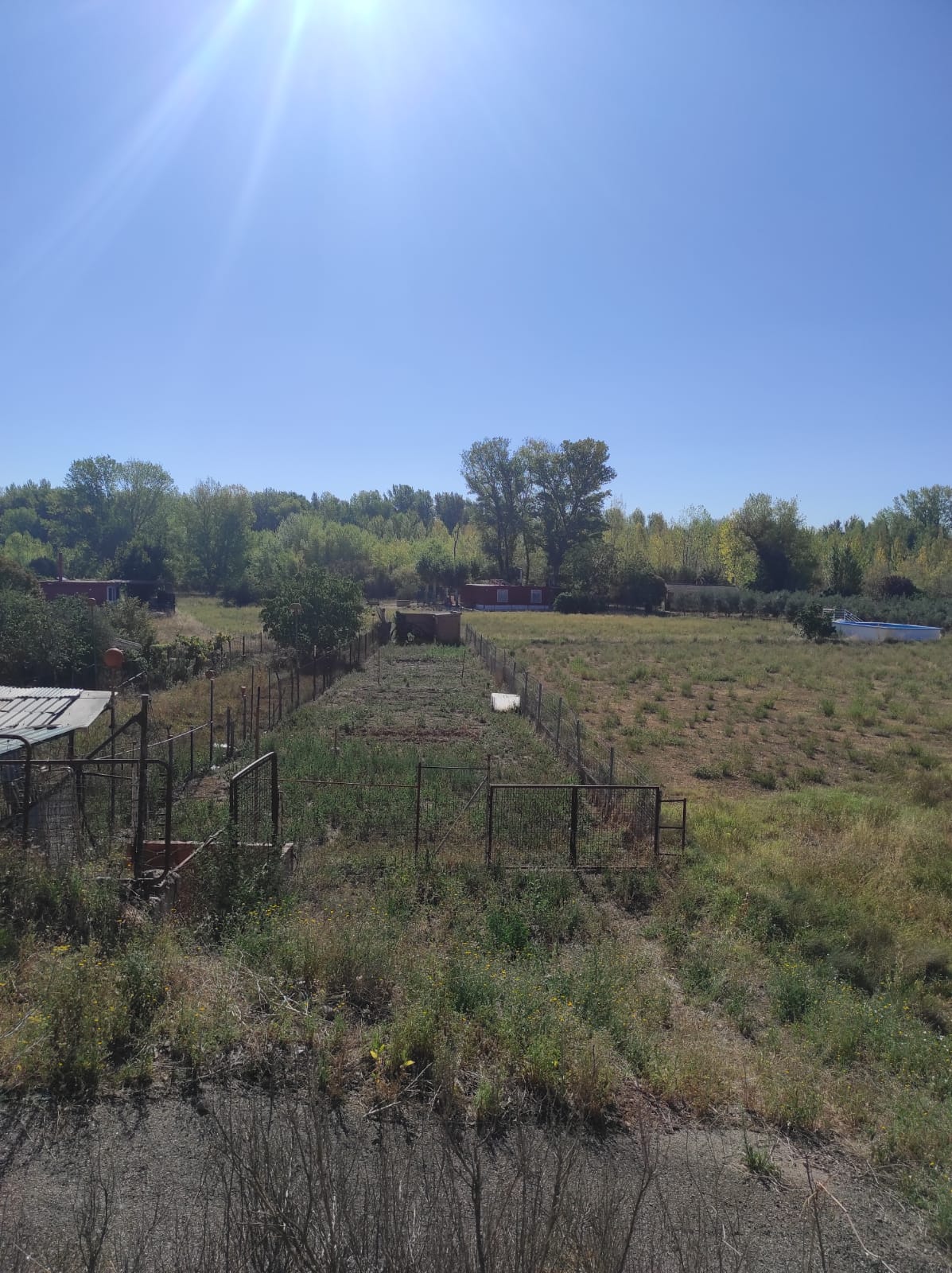 Imagen 2 de FINCA RUSTICA CON CASITA EN LOGROÑO