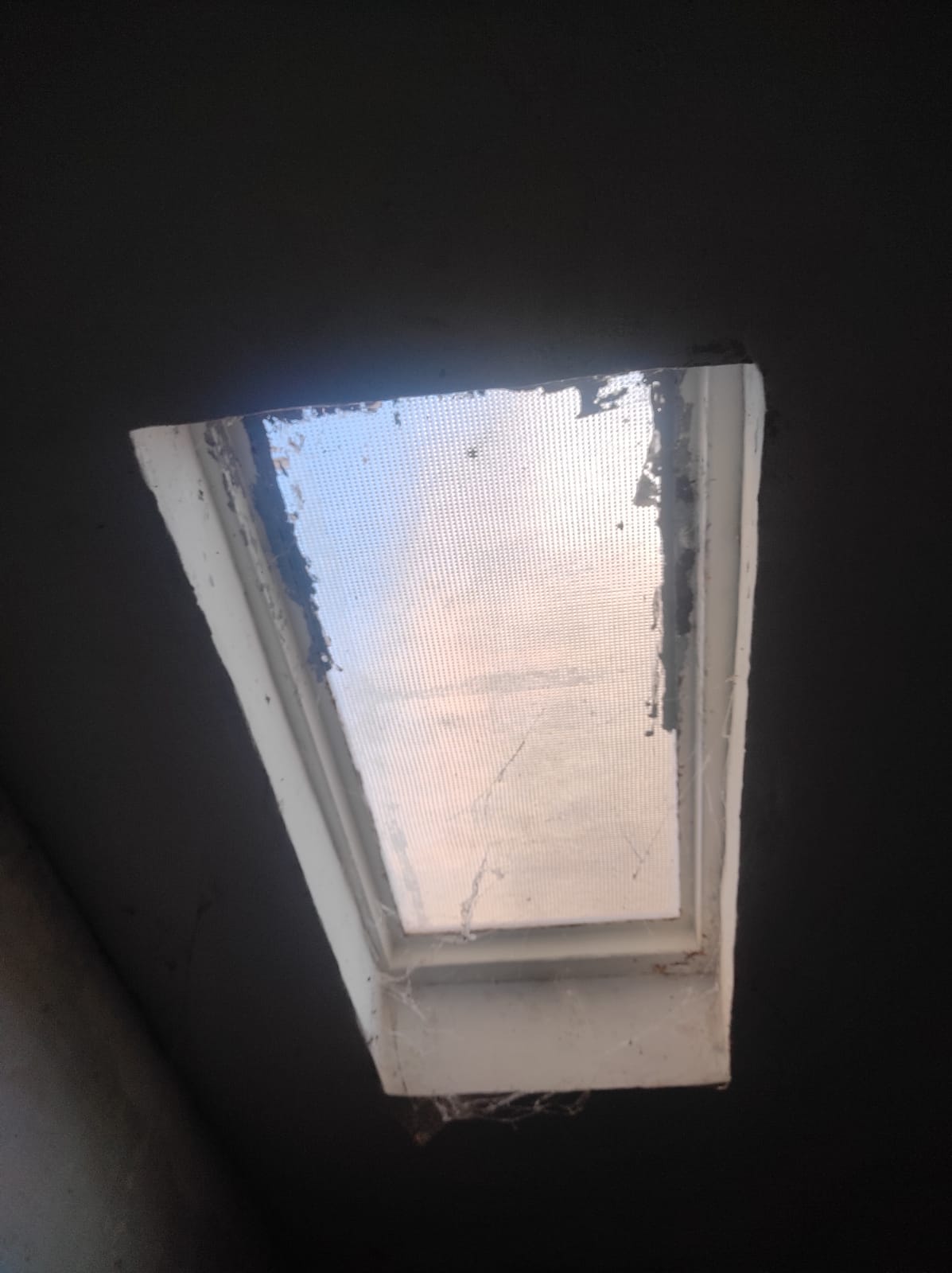 Imagen 3 de LOCAL DIAFANO EN RAMIREZ DE VELASCO 