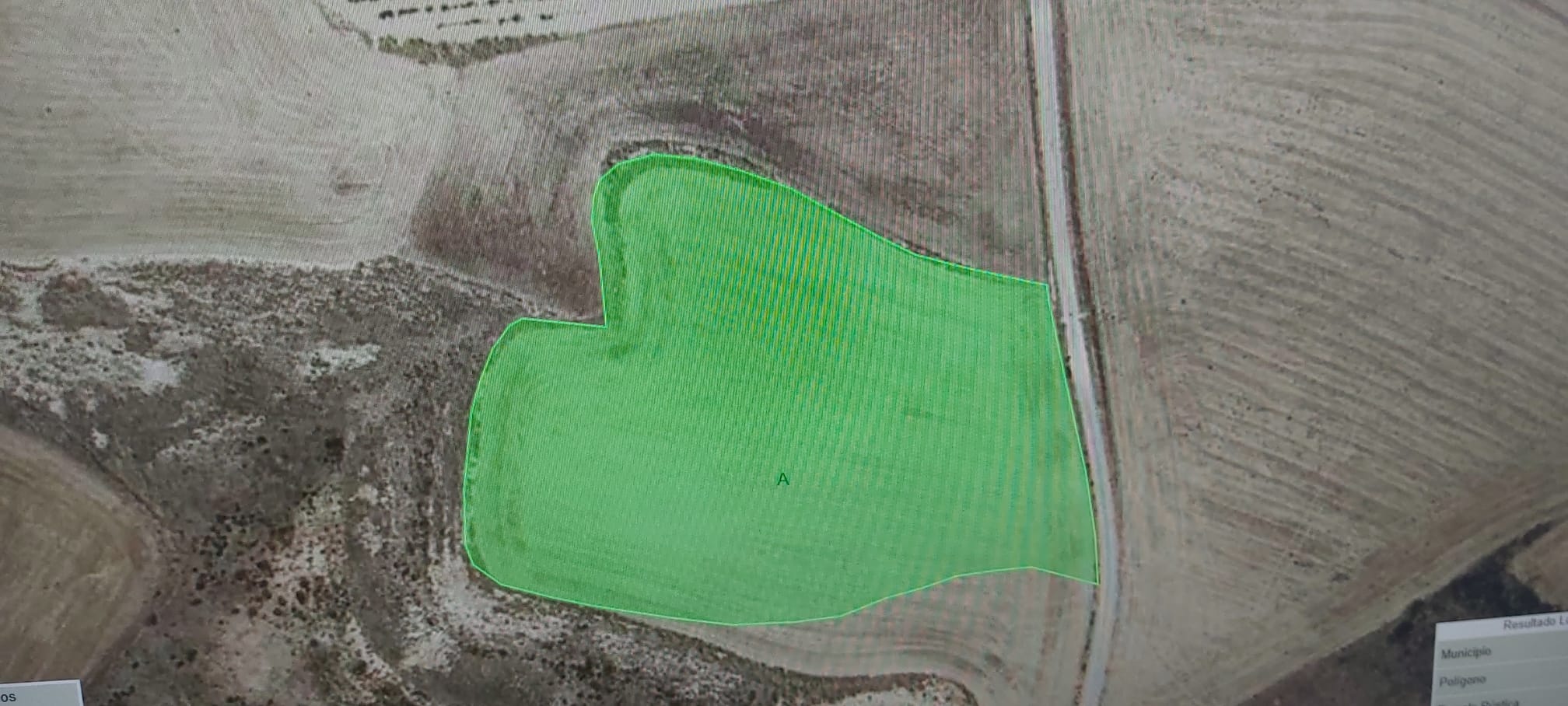 Imagen 1 de EN VENTA TERRENOS AGRARIOS EN VIANA 