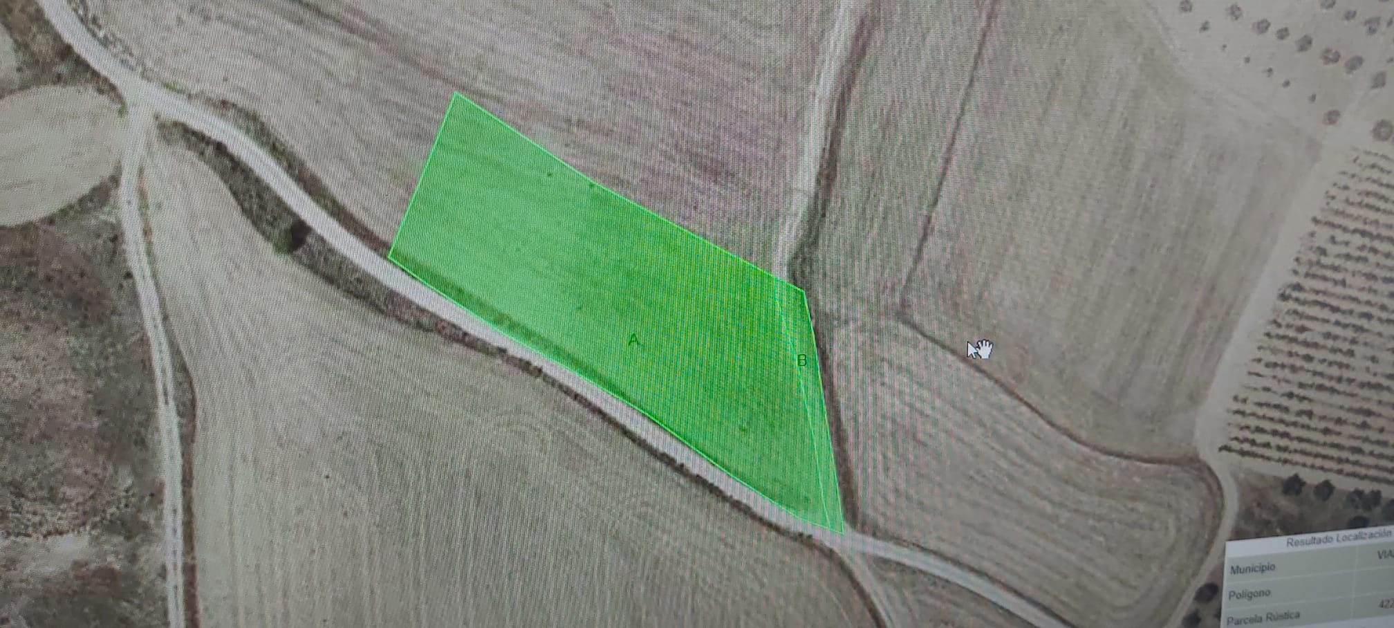 Imagen 3 de EN VENTA TERRENOS AGRARIOS EN VIANA 