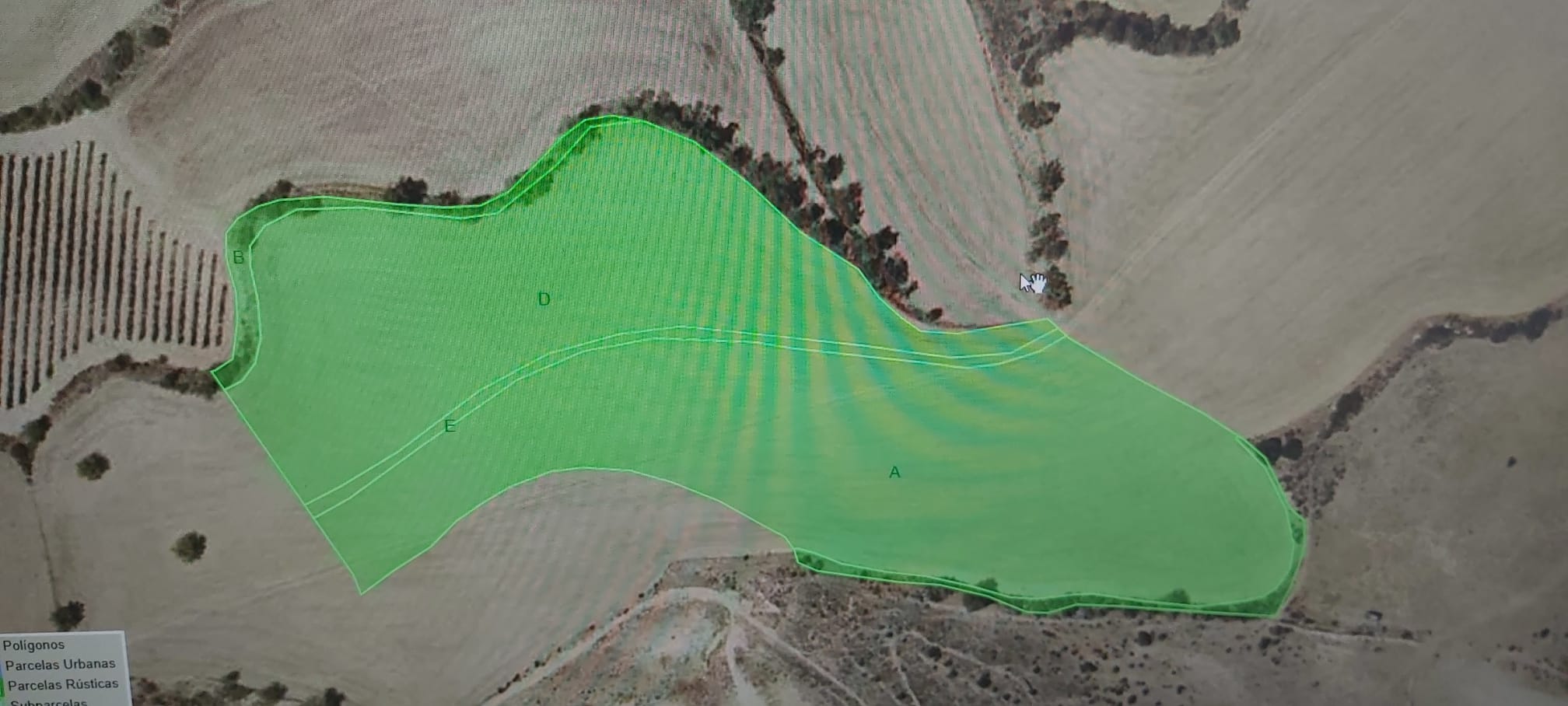 Imagen 0 de EN VENTA TERRENOS AGRARIOS EN VIANA 