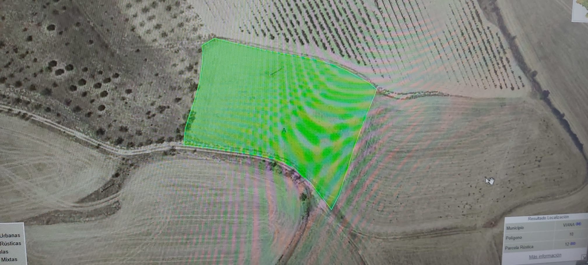 Imagen 2 de EN VENTA TERRENOS AGRARIOS EN VIANA 