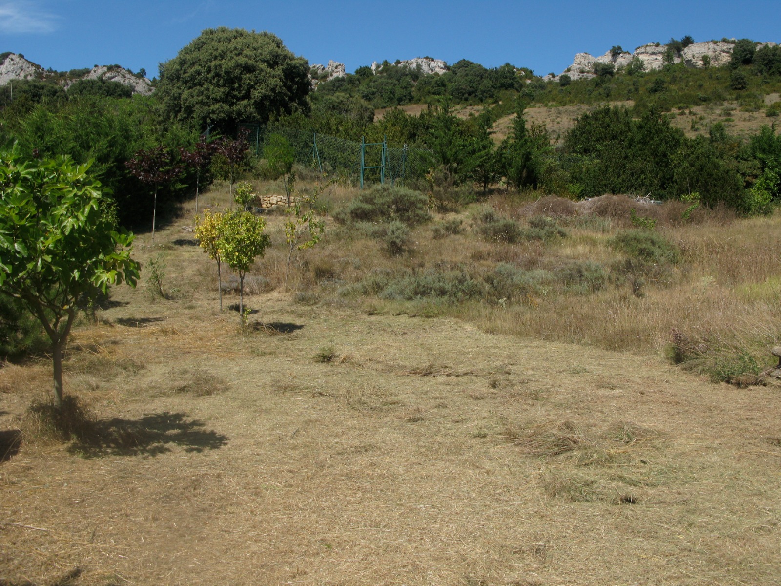 Imagen 2 de TERRENO URBANIZABLE EN MEANO