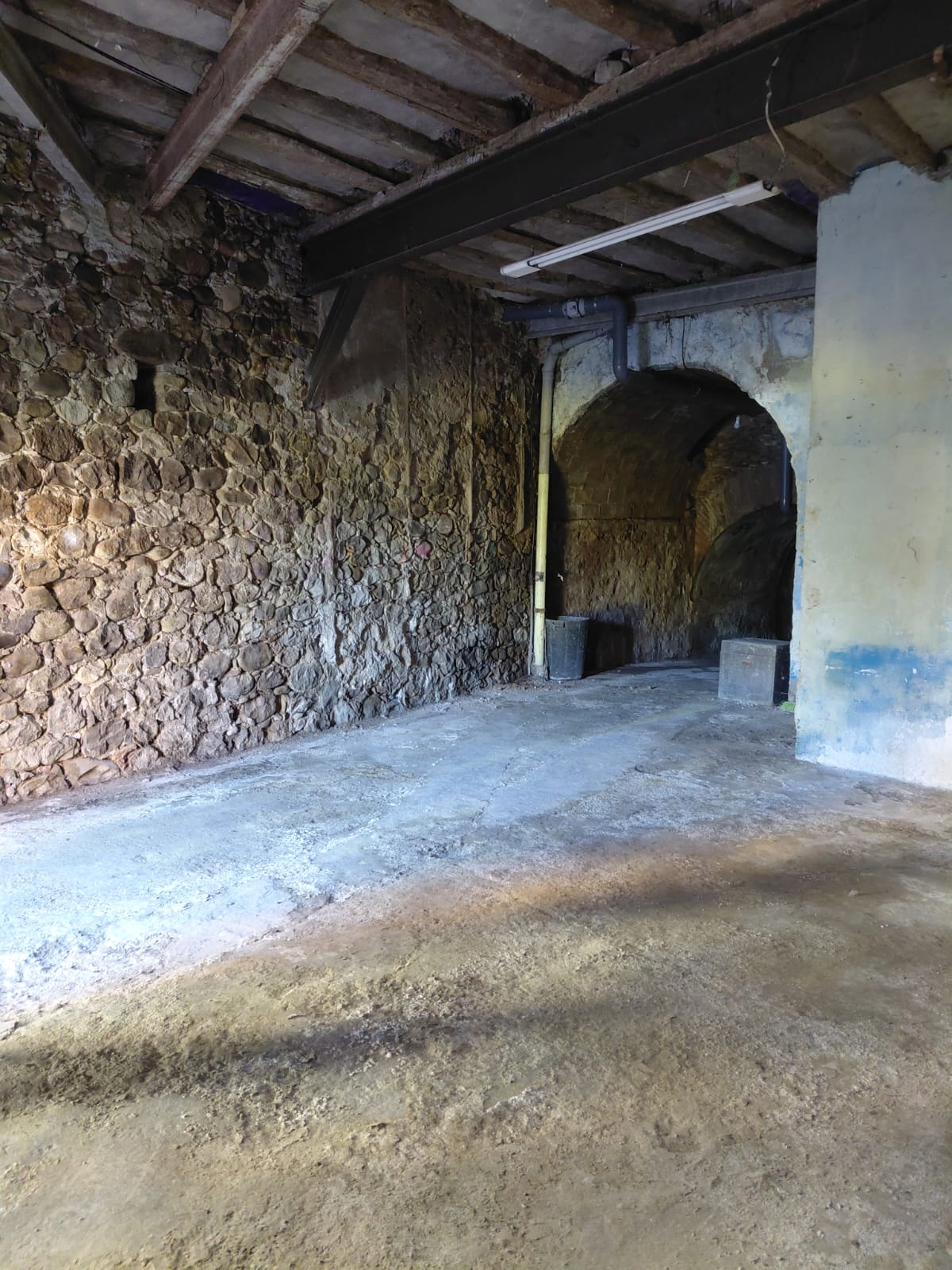 Imagen 1 de 2 PISOS +LONJA + BODEGA EN ALBERITE